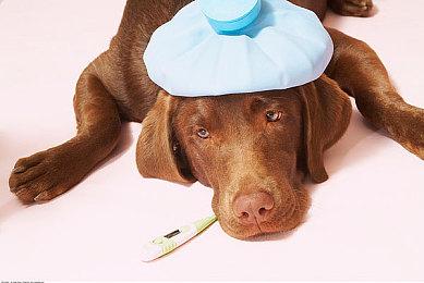 经典塔防游戏《王国保卫战》迎来十周年 将推出免费新英雄